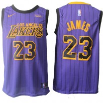 Cheap LeBron James Lakers Wish Black Purple City Edition Jersey