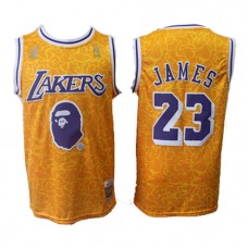 Cheap LA Lakers LeBron James Throwback NBA Jersey Joint BAPE Sale