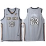 Nike NBA Cleveland Cavaliers 23 LeBron James Jersey Grey City