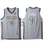 Nike NBA Cleveland Cavaliers 23 LeBron James Jersey Grey City