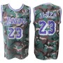 Cheap Lebron James Lakers Camo Hardwood Classics Jersey Sale