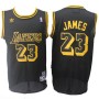 Cheap LeBron James Throwback Lakers Black Jersey For Sale