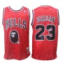 Cheap Michael Jordan Bulls NBA Basketball Jersey Joint Bape Sale