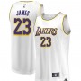 Men's Los Angeles Lakers LeBron James Fanatics Branded White 2018-19 Fast Break Replica Jersey - Association Edition
